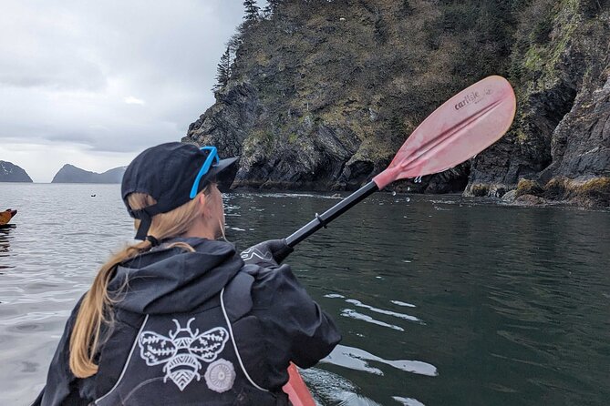 Resurrection Bay Waterfall And Rainforest Adventure - Key reasons this Seward kayaking day is worth your time