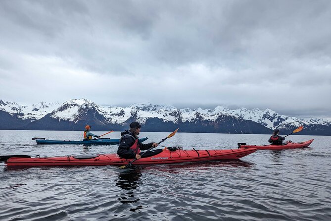 Resurrection Bay Waterfall And Rainforest Adventure - Why Resurrection Bay feels special even on a half day