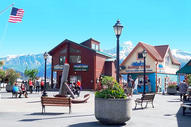 Seward Alaska City Tour and Glacier Viewing - Pricing and value: what $86.09 covers in a short day