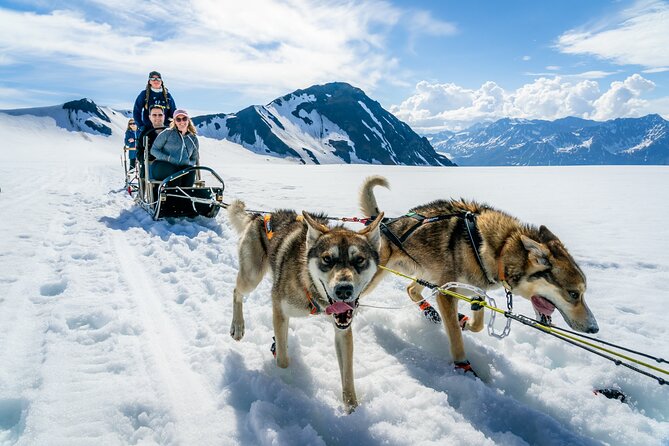 Seward: Helicopter Glacier Dogsled Tour with 2 Landings - Key Things to Know Before You Go