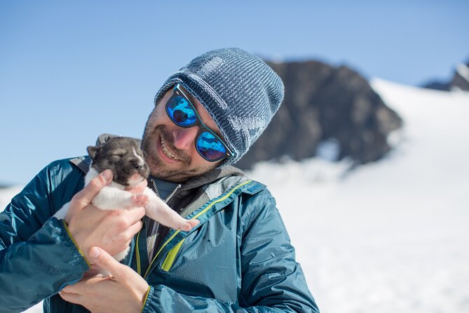 Seward: Helicopter Glacier Dogsled Tour with 2 Landings - A Helicopter Drop Meets Real Glacier Dog Camp
