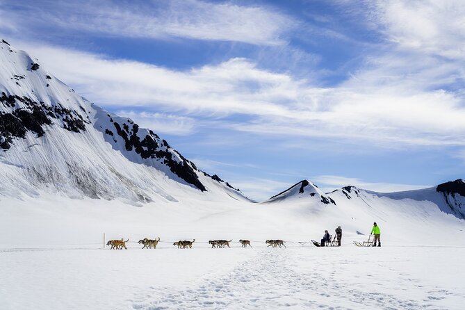 Seward: Helicopter Glacier Dogsled Tour with 2 Landings - How the Dog Team Hour Works with Dallas Seavey’s Team