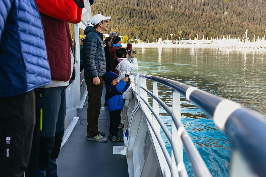 Seward: Kenai Fjords National Park Catamaran Cruise w/Lunch - Should you book it?