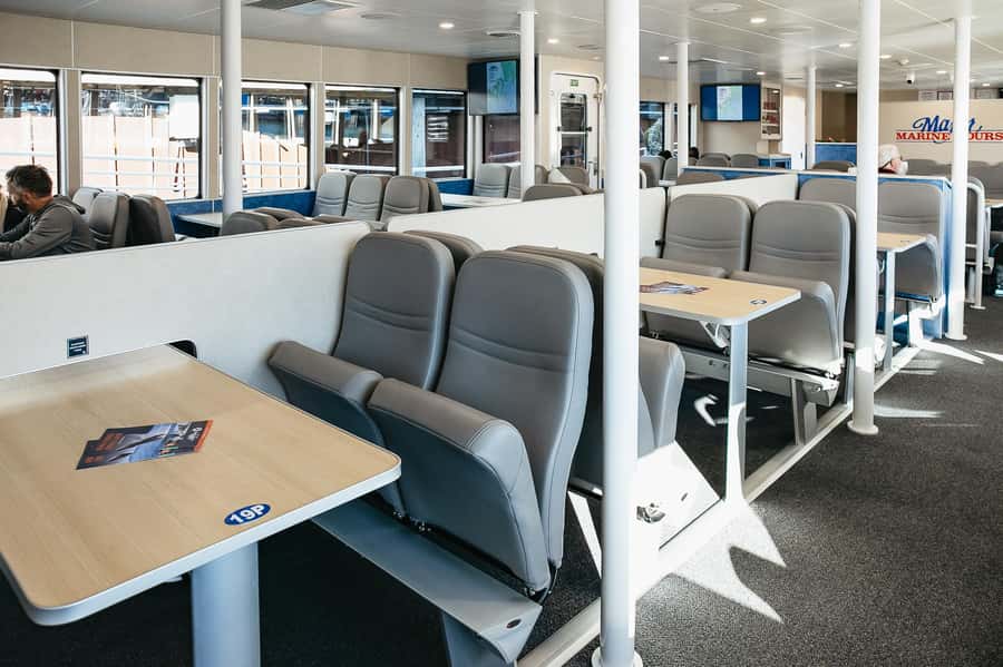 Seward: Kenai Fjords National Park Catamaran Cruise w/Lunch - On-board lunch and warmth: deli sandwiches, coffee, and optional beer