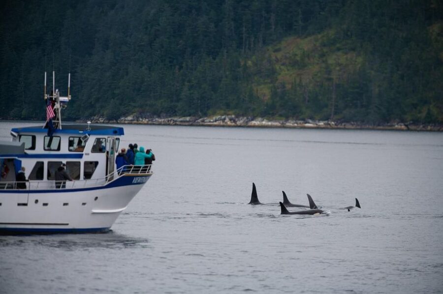 Seward: Kenai Fjords National Park Extended Cruise - Food, Drinks, and the Little Things That Keep You Enjoying the Day