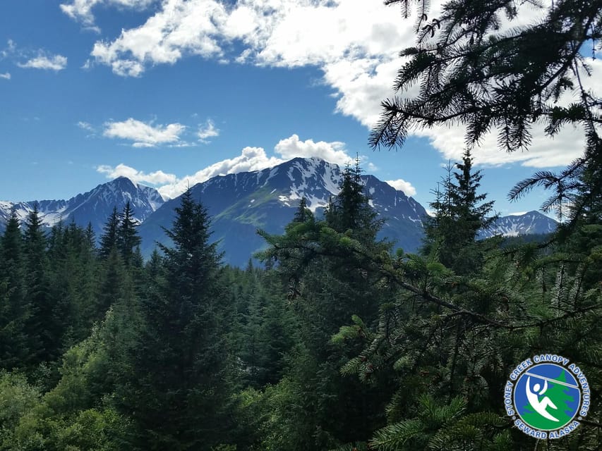 Seward: Stoney Creek Canopy Tour with Zipline - Key things that make this canopy tour worth your time