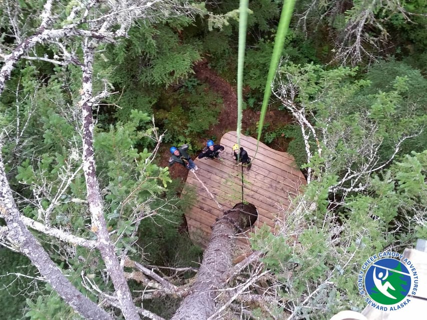 Seward: Stoney Creek Canopy Tour with Zipline - The Finish Back to Earth: Final Traverse and the 40-Foot Rappel