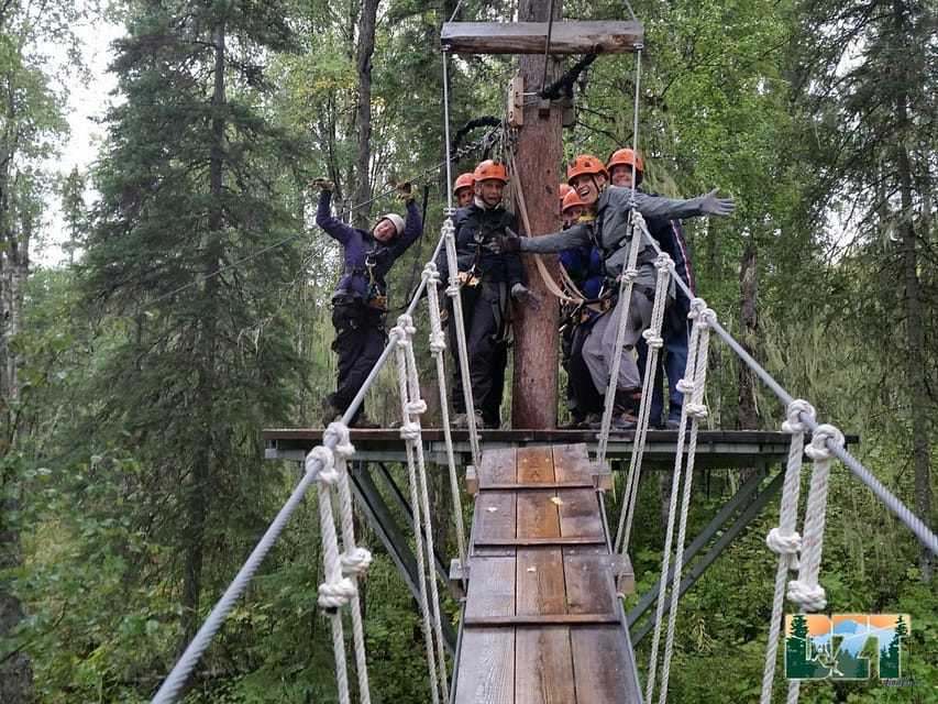 Seward: Stoney Creek Canopy Tour with Zipline - Views and Wildlife: What You’re Really Seeing Up There