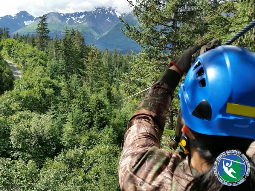 Seward: Stoney Creek Canopy Tour with Zipline - Who Should Book, and Who Should Skip This Canopy Tour