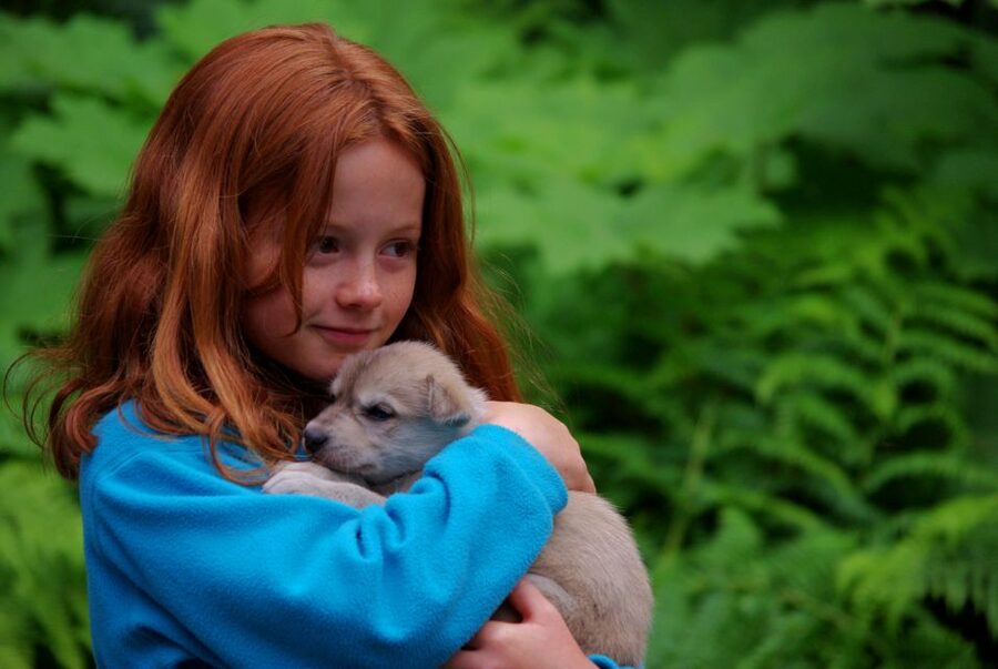Seward: Summer Dog Sled Ride and Seavey Estate Tour - The Dogs, the Puppies, and the Moment Everyone Talks About