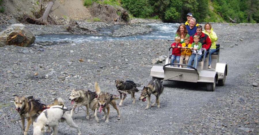 Seward: Summer Dog Sled Ride and Seavey Estate Tour - Practical Tips That Make the Experience Smoother