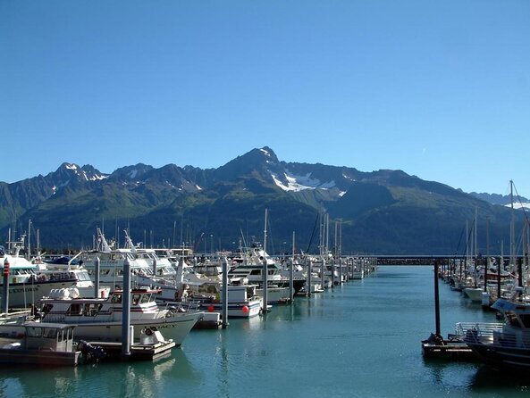 Seward to Anchorage Cruise Transfer and Private Tour - Key highlights to look for before you book