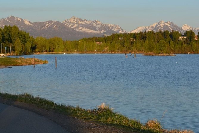 Seward to Anchorage Cruise Transfer and Private Tour - Stop 4: Alaska Wildlife Conservation Center (optional, with a big payoff)