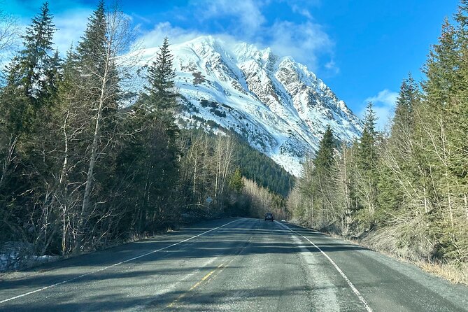 Seward to Anchorage Full Day Transit Tour with Port Pickup - Earthquake Park: One Short Stop With Real Alaska Gravity