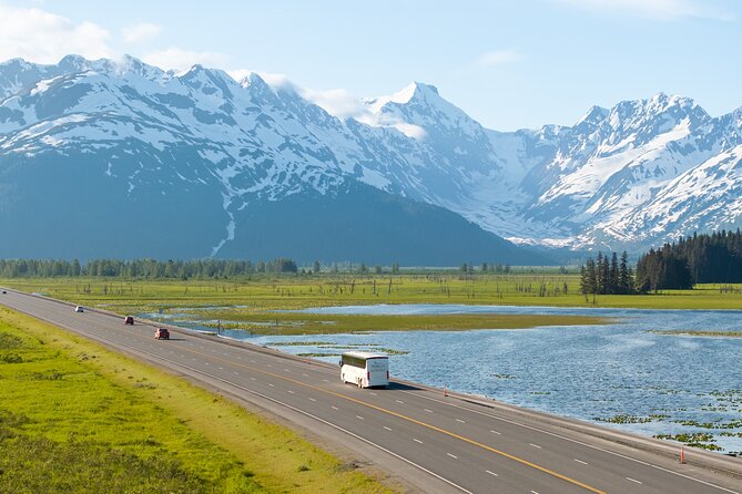 Seward to Anchorage Wildlife Adventure - Price and Value: What $110 Buys You Here