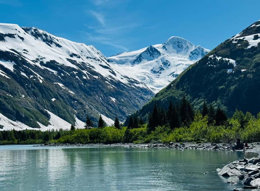 Seward: Transit Tour to Anchorage with Wildlife Center - Price and value: what you’re really paying for at $249