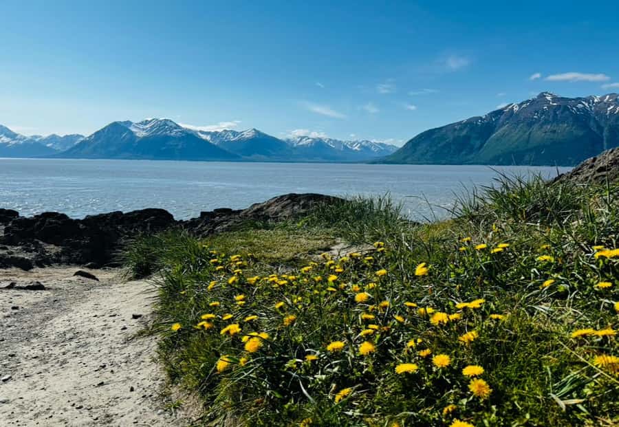 Seward: Transit Tour to Anchorage with Wildlife Center - What to bring (and what not to do) for a smoother day