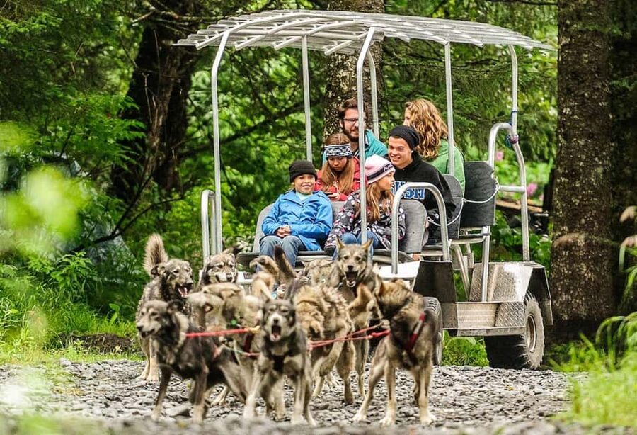Seward: Turning Heads Kennel Tour & Dog Sled Ride - Key Highlights You’ll Actually Feel
