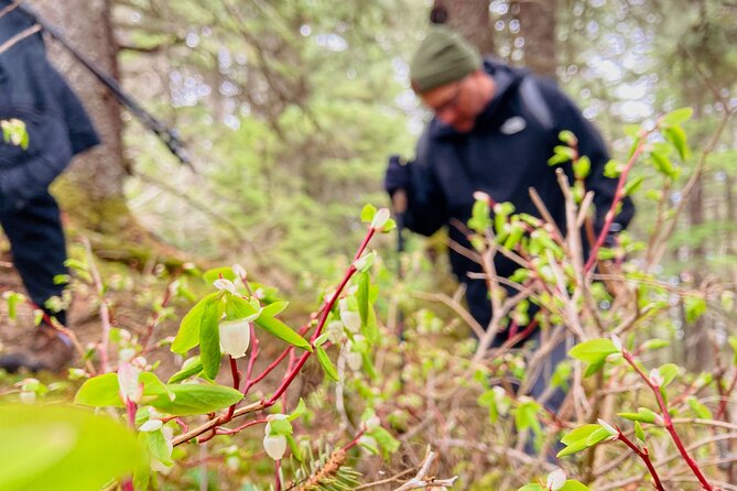 Seward Wilderness Hiking - Equipment and Real-World Packing for Alaska Conditions