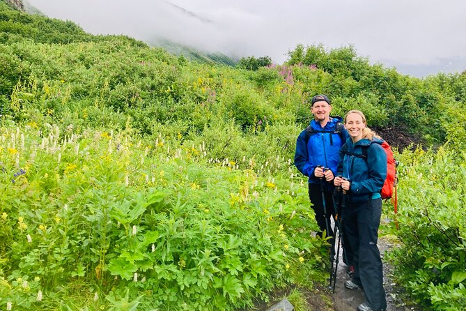 Seward Wilderness Hiking - Price and Value: Is $342.42 Worth It?