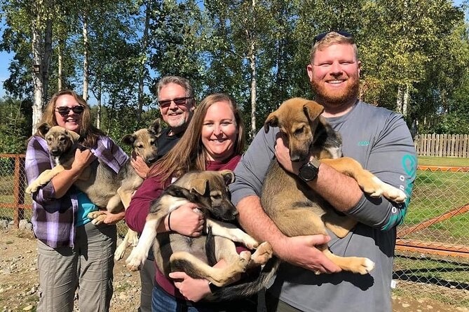 Sled Dog Ride and Scenic Drive from Anchorage - A 5-hour plan that starts with the Chugach Mountains