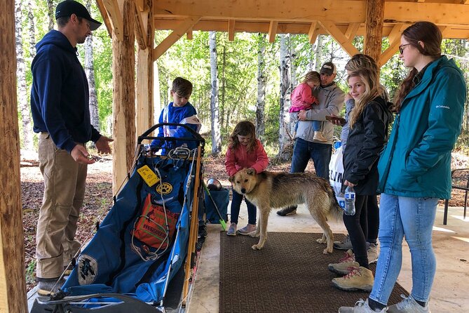 Sled Dog Ride and Scenic Drive from Anchorage - Small stops that add flavor: ice cream, Iditarod vibes, and trophies