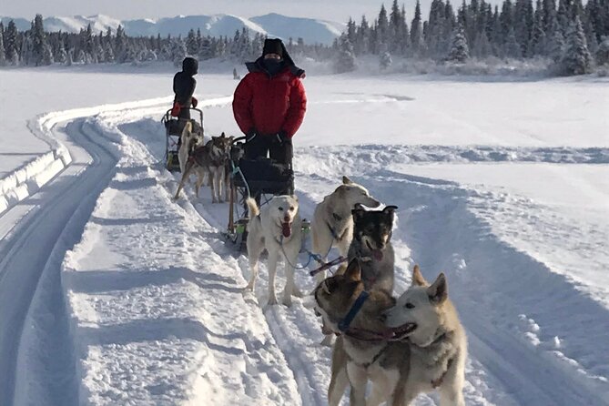 Small-Group Dog Sledding Experience in Sterling - Gear, time, and the $122 value question