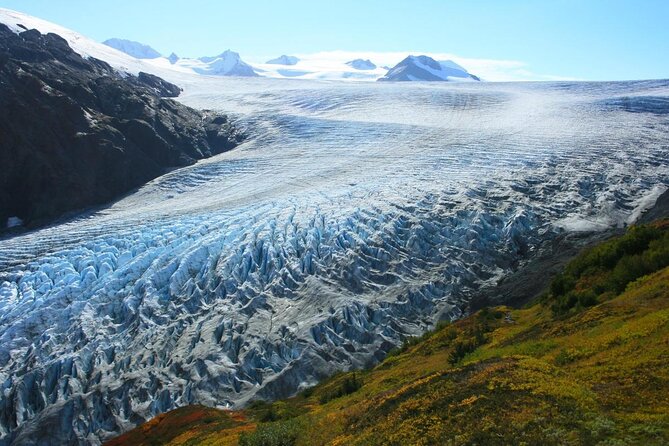 Snowmobile and Snowshoe Dual Adventure in Kenai Fjords NP - Key Highlights You’ll Actually Feel