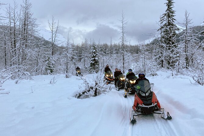 Snowmobile and Snowshoe Dual Adventure in Kenai Fjords NP - What the Seward stop adds (and what it doesn’t)