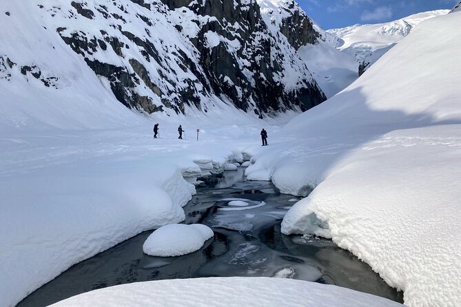 Snowmobile and Snowshoe Dual Adventure in Kenai Fjords NP - Value check: $398.56 for a real winter day
