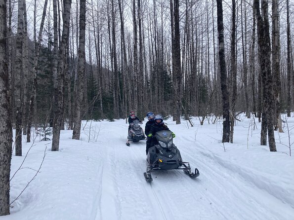 Snowmobile Classic Tour in Kenai Fjords National Park - Why Kenai Fjords Winter Access Means Snowmobile Time