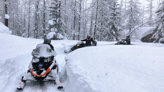 Snowmobile Classic Tour in Kenai Fjords National Park - Stop 1: Kenai Fjords National Park in Winter (Beyond the Road)