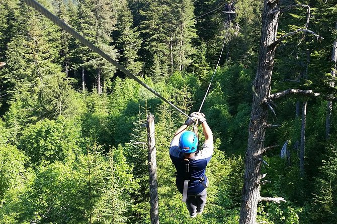 Stoney Creek Canopy Adventure - Meeting at the Adventure Center in Seward (Then Out to the Course)