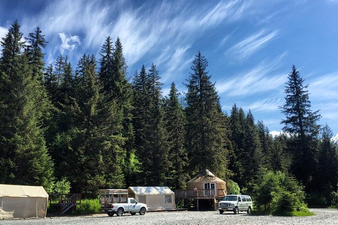 Stoney Creek Canopy Adventure - Timing, Effort Level, and What to Expect in Motion