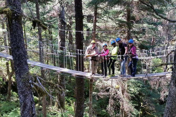 Stoney Creek Canopy Adventure - Price and Value: Is $168.92 Worth It?