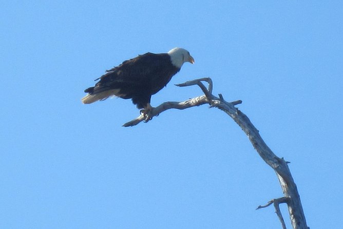 Stunning Turnagain Arm Tour: "A Must See Destination" - Key things I’d bank on before you go