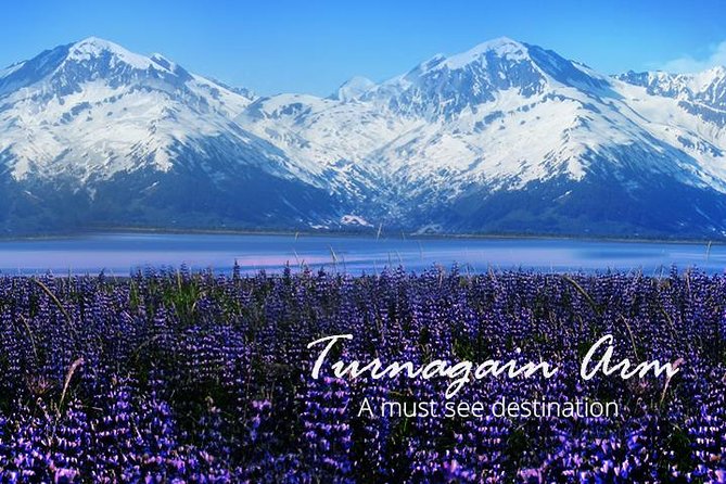 Stunning Turnagain Arm Tour: "A Must See Destination" - Why Turnagain Arm feels special on this short tour