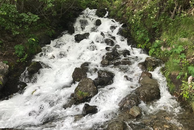 Stunning Turnagain Arm Tour: "A Must See Destination" - Turnagain Art Gallery: local craft with real personality