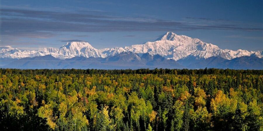 Talkeetna: Denali Zipline Tours - Zipline Ground School: Safety Cues You’ll Feel On the Course