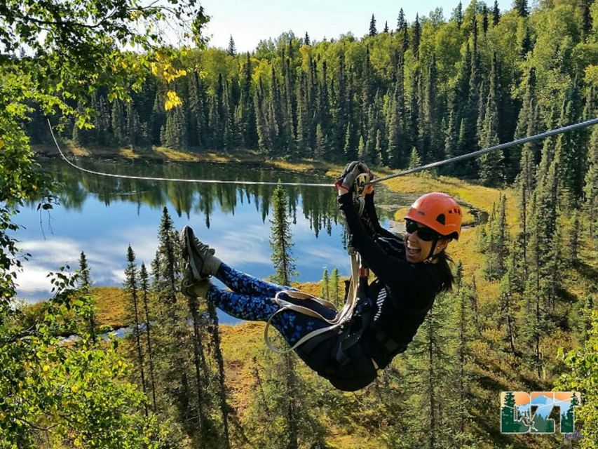 Talkeetna: Denali Zipline Tours - Flying Through the Northern Boreal Forest: The Part That Feels Like Alaska