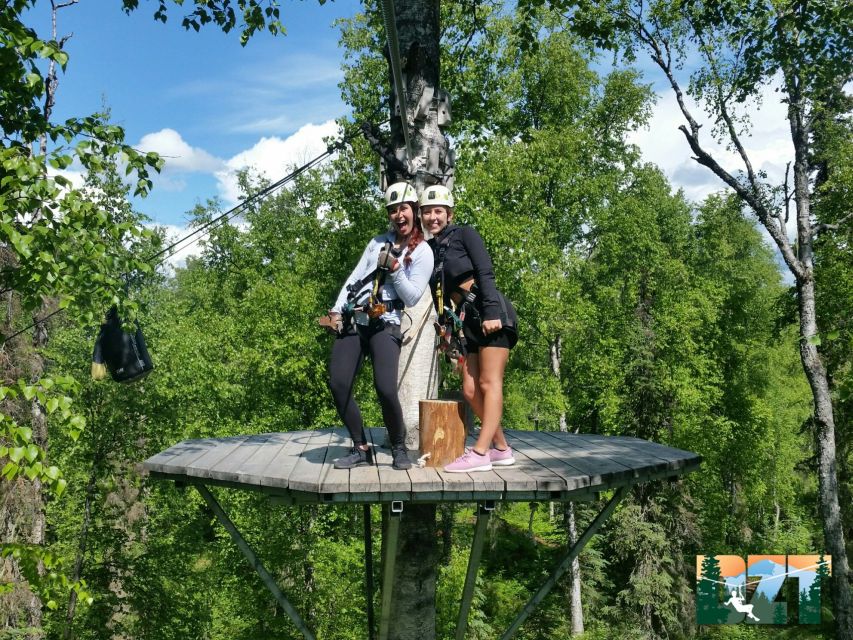 Talkeetna: Denali Zipline Tours - Suspension Bridges and Sky Walks: Where the Views Stretch Out