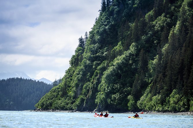 Tonsina Point Kayak and Exploration - Key Highlights You’ll Actually Feel