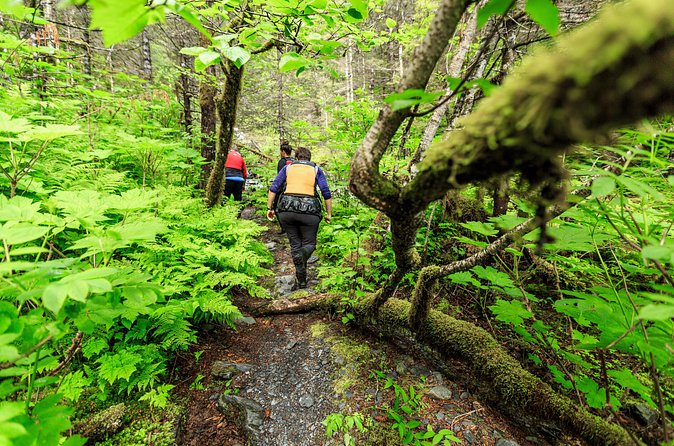 Tonsina Point Kayak and Exploration - Gear You Get (and How It Helps You Enjoy the Day)