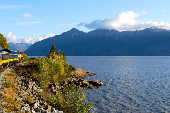Turnagain Arm and Portage Valley Private Tour - Turnagain Arm: where wildlife spotting can turn into a full-time hobby
