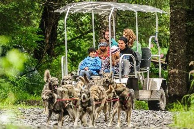 Turning Heads Kennel Dogsledding Experience & Tour - Key Points You’ll Care About