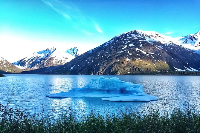 Ultimate Anchorage and Turnagain Arm Private Full Day Tour - Beluga Point and Bird Point: bore tide, 180-degree views, and waiting for the right moment