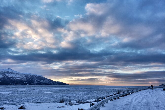 Ultimate Anchorage Winter Wildlife & Sunset Tour - Alaska Wildlife Conservation Center: what you do, what you learn, what you’ll remember
