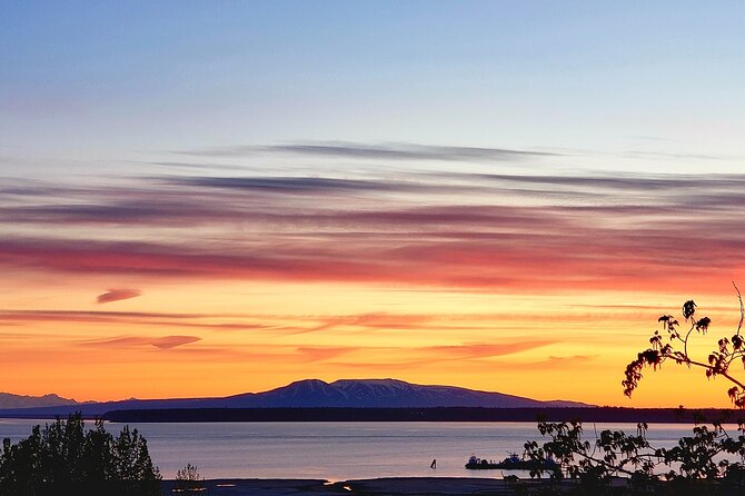 Ultimate Anchorage Winter Wildlife & Sunset Tour - Point Woronzof and the airplane show: sunset wrap-up done right