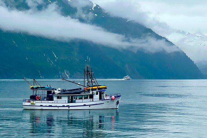 Up to 10 Person Choose Your Own Adventure from Anchorage Alaska - A Private Adventure You Shape: Anchorage to Hope