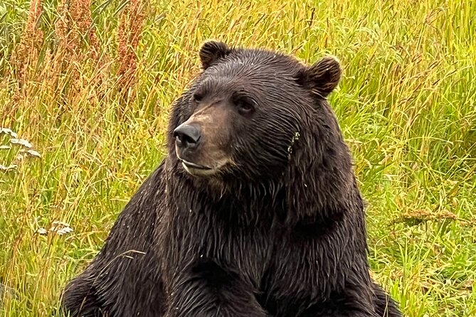 Up to 10 Person Choose Your Own Adventure from Anchorage Alaska - Tickets and Optional Fees: What’s Not Included